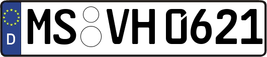 MS-VH0621