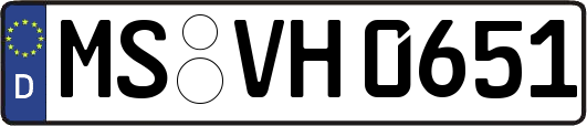 MS-VH0651