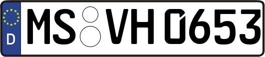 MS-VH0653