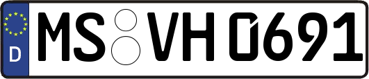 MS-VH0691