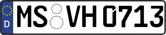 MS-VH0713