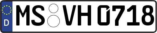 MS-VH0718