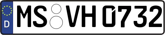 MS-VH0732