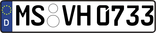 MS-VH0733