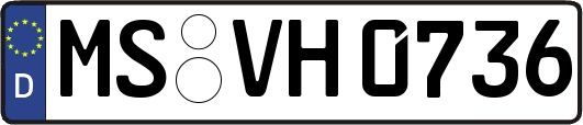 MS-VH0736