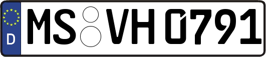 MS-VH0791