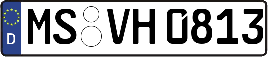 MS-VH0813