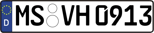 MS-VH0913