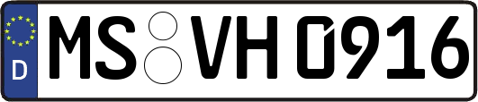 MS-VH0916
