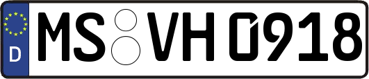 MS-VH0918