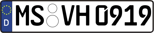 MS-VH0919