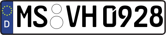 MS-VH0928