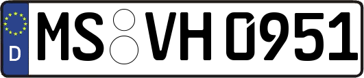 MS-VH0951