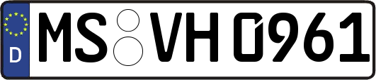 MS-VH0961