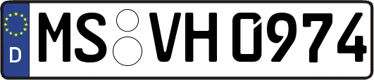 MS-VH0974