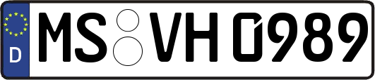 MS-VH0989