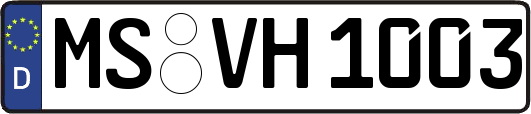 MS-VH1003