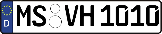 MS-VH1010