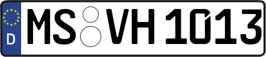 MS-VH1013