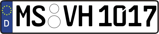MS-VH1017