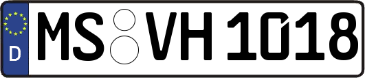 MS-VH1018