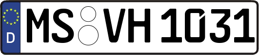 MS-VH1031