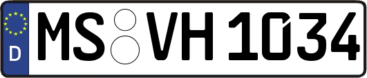 MS-VH1034