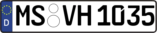 MS-VH1035