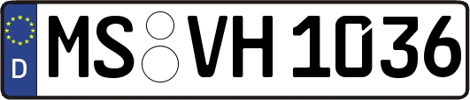 MS-VH1036