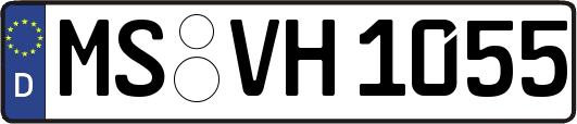 MS-VH1055