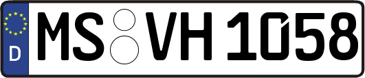 MS-VH1058
