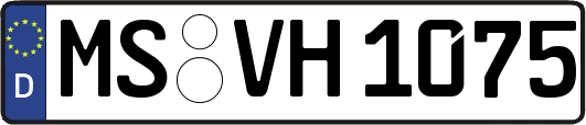 MS-VH1075