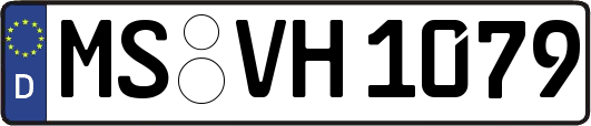 MS-VH1079