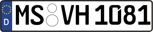 MS-VH1081