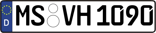 MS-VH1090