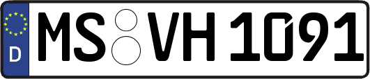 MS-VH1091