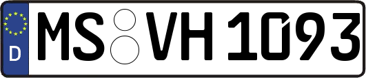 MS-VH1093