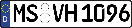 MS-VH1096