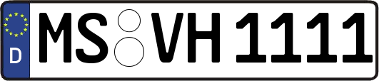 MS-VH1111