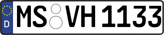 MS-VH1133