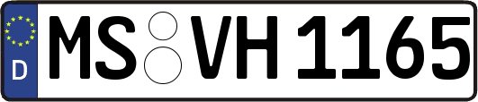MS-VH1165