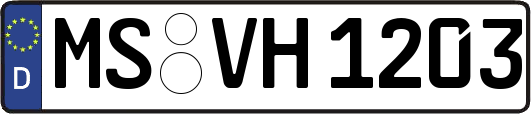 MS-VH1203
