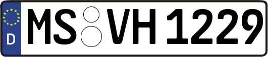 MS-VH1229