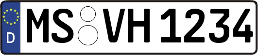 MS-VH1234