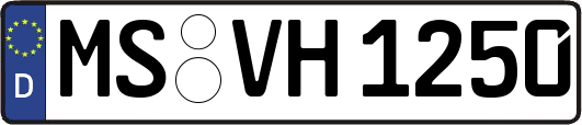 MS-VH1250