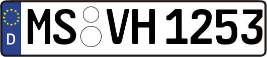 MS-VH1253