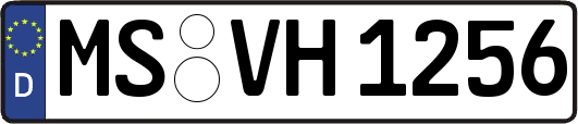 MS-VH1256