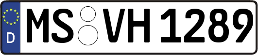 MS-VH1289