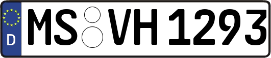 MS-VH1293