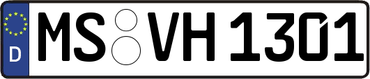 MS-VH1301